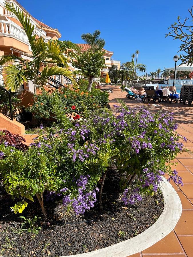 Comfort Apartment En Tenerife Royal Gardens Playa de las Americas  Exterior foto